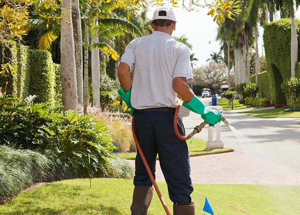 About Greenleaf KS Pest Control